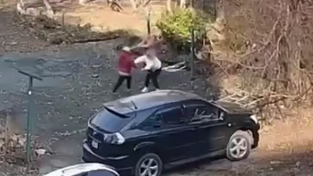 Избившая и покусавшая соседей пенсионерка держит двор в страхе во Владивостоке