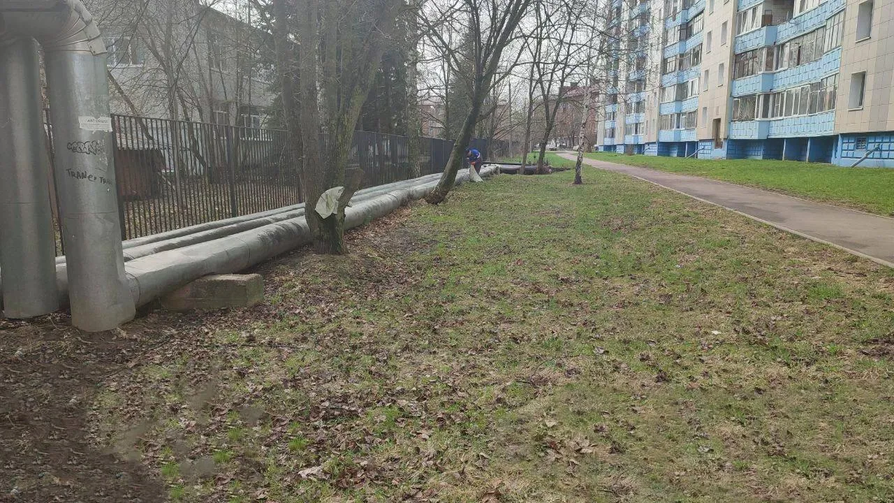 Территорию теплотрассы рядом со школой им Калининой в Клину привели в порядок