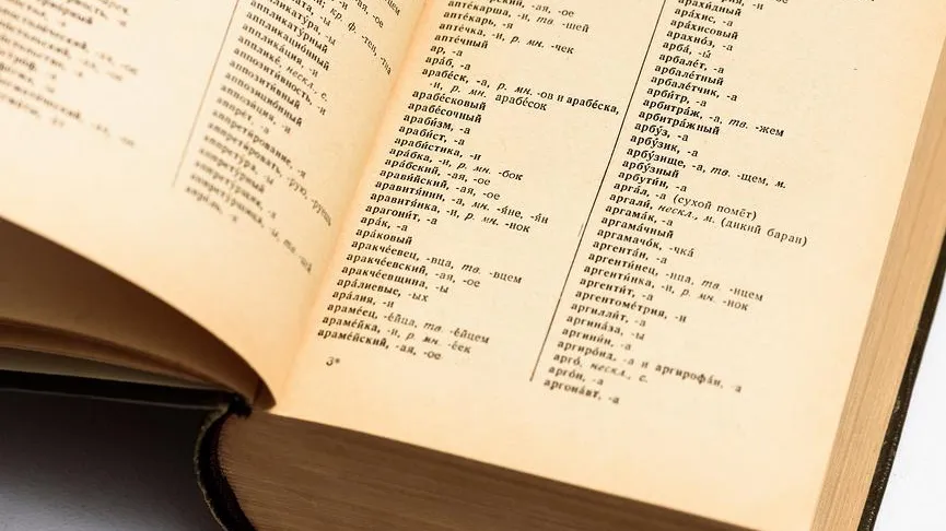 В киевских школах стали чаще говорить на русском языке