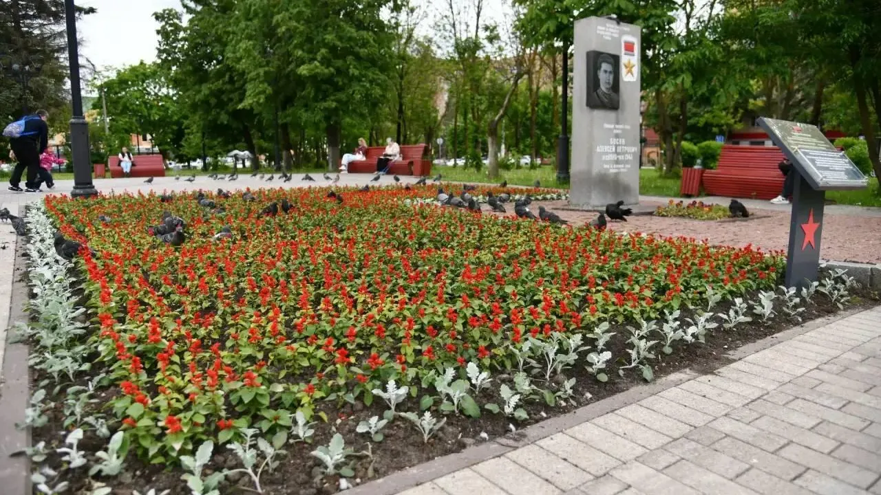 В Истре высадили более 70 тыс цветов к летнему сезону