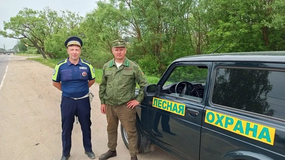 Лесная охрана Подмосковья провела более 1 200 патрулирований за неделю