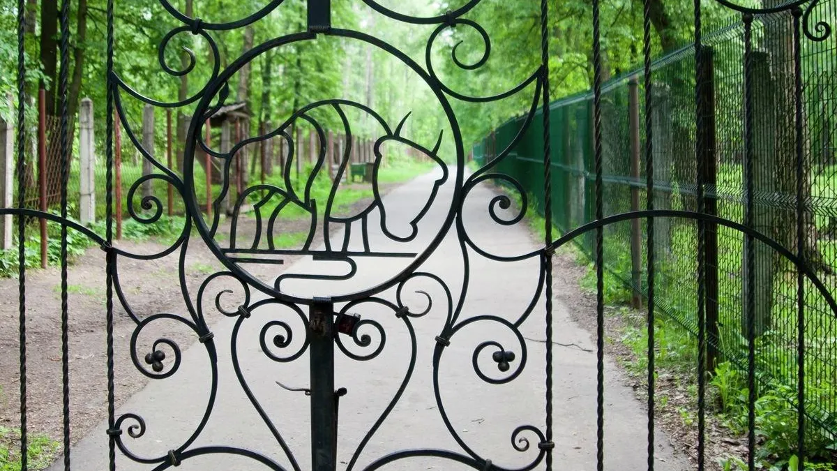Волонтерская поездка в Приокско‑Террасный заповедник пройдет в Подмосковье в субботу