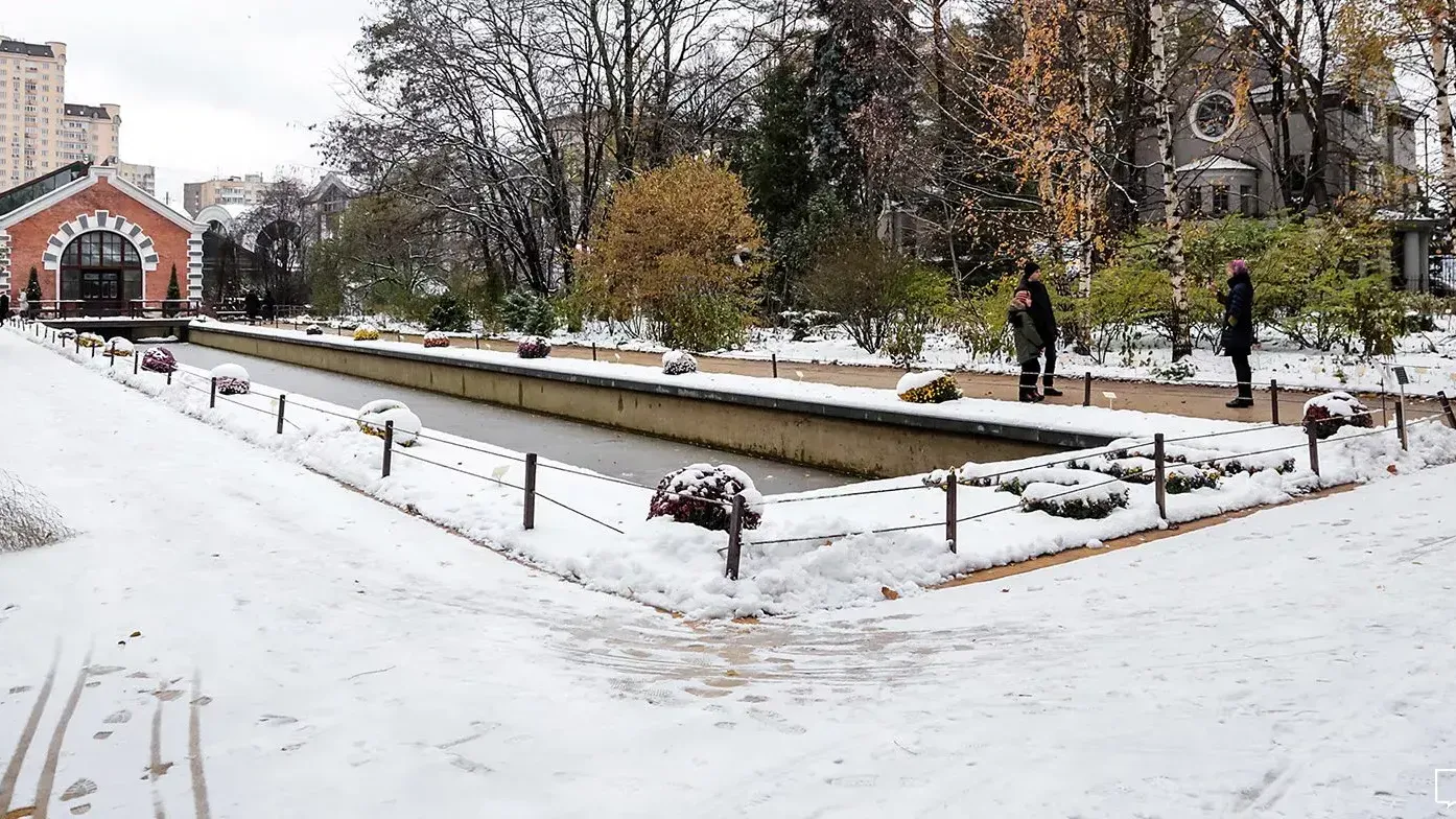 Ботанический сад федерального значения им Травникова появится в Москве