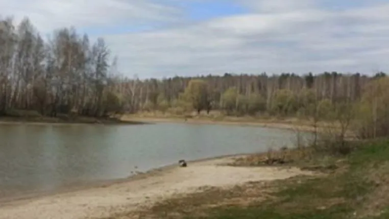 Администрация Подольска предложила Минэкологии региона обследовать Лаговский пруд