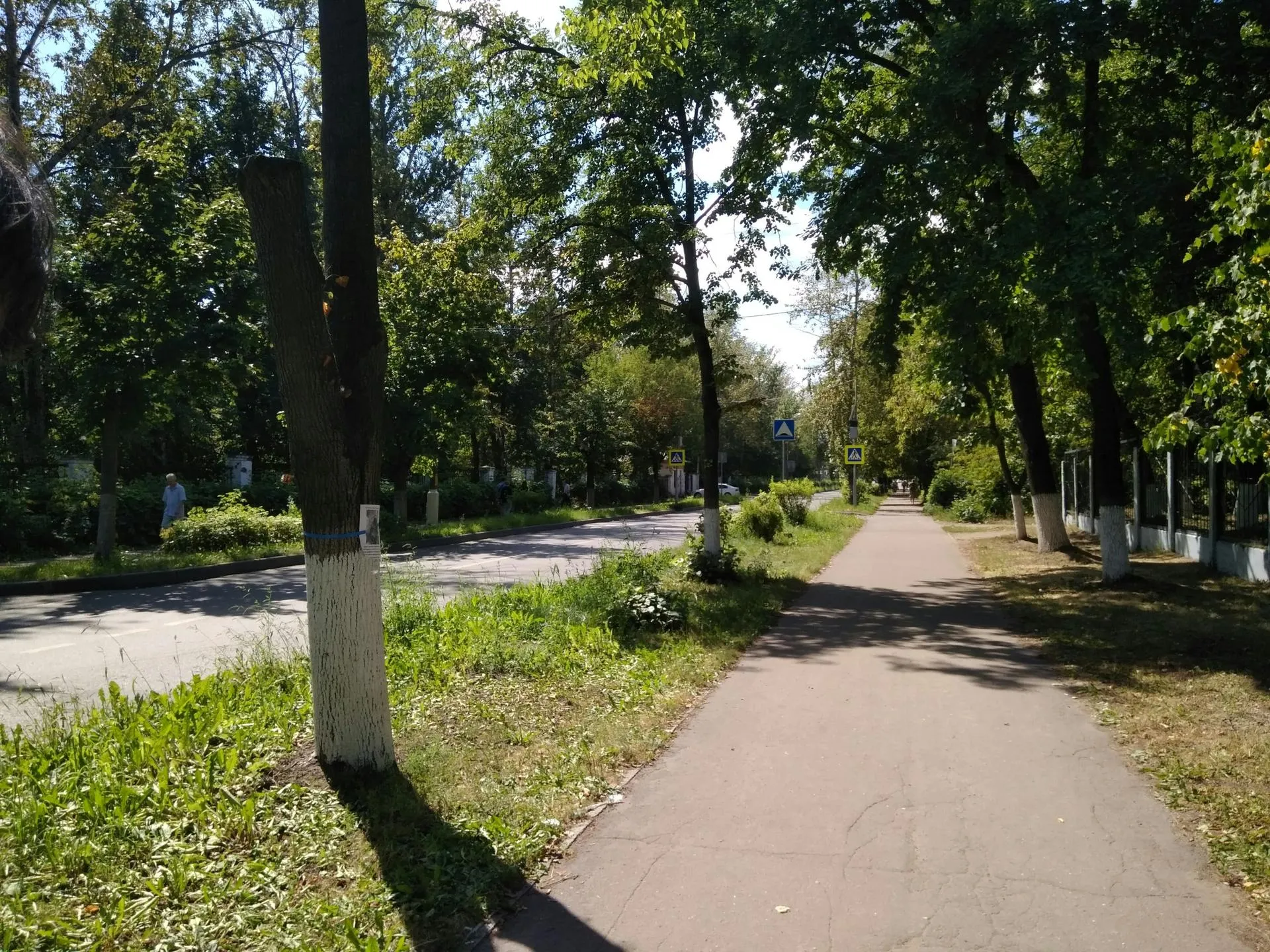 из личного архива Светланы
