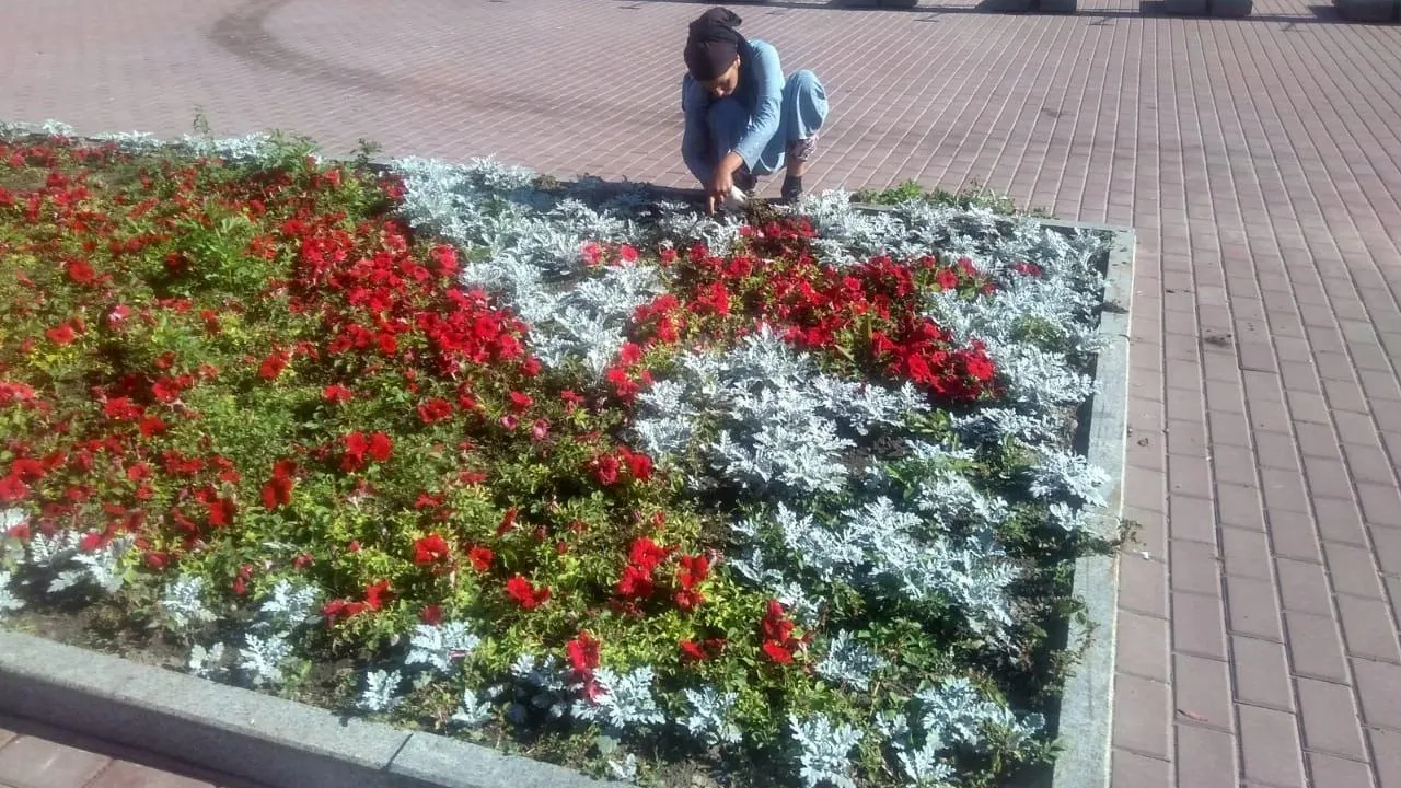 Многолетние растения начали высаживать на общественных пространствах Подольска