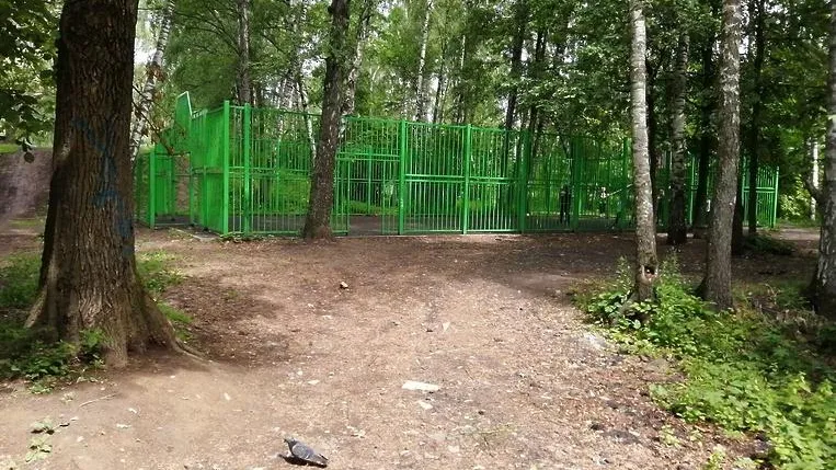 Ограждения спортплощадки в лесопарке Подольска планируют отремонтировать до 29 июля
