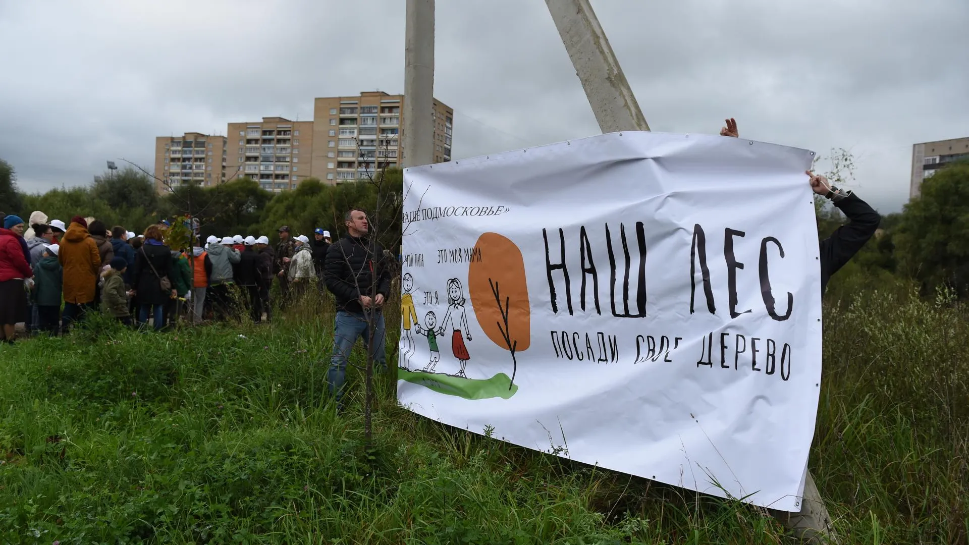 Почти 12 тыс деревьев высадят в Красногорске на областной акции «Наш лес» 21 сентября