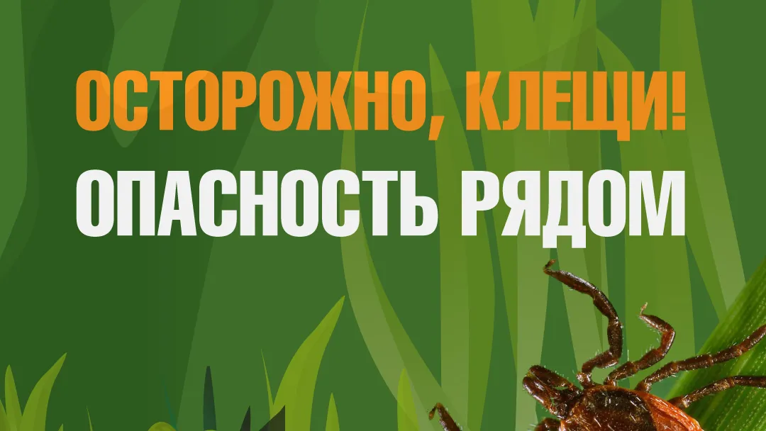 В Подмосковье зафиксировали более 11 тыс обращений за помощью из-за укуса клещей