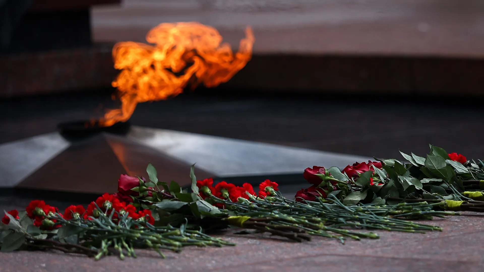Патриотическая акция «Синий платочек Победы» пройдет к 80 летию Победы