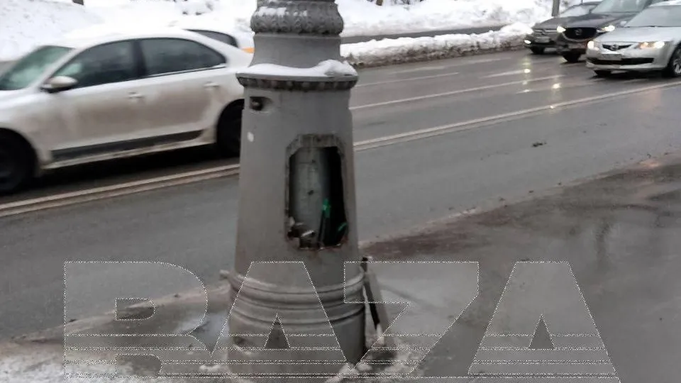 Мог умереть и ребенок: ток от неисправного фонарного столба убил хаски в Москве