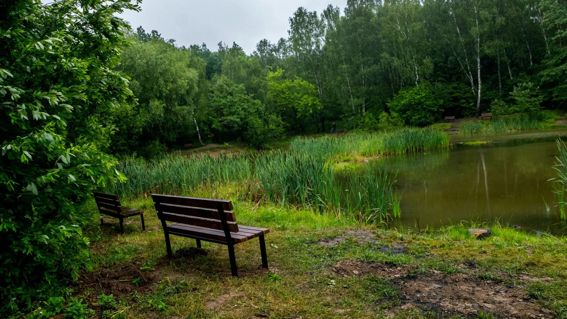 Жителям Подмосковья рассказали о лучших местах для пикника в регионе