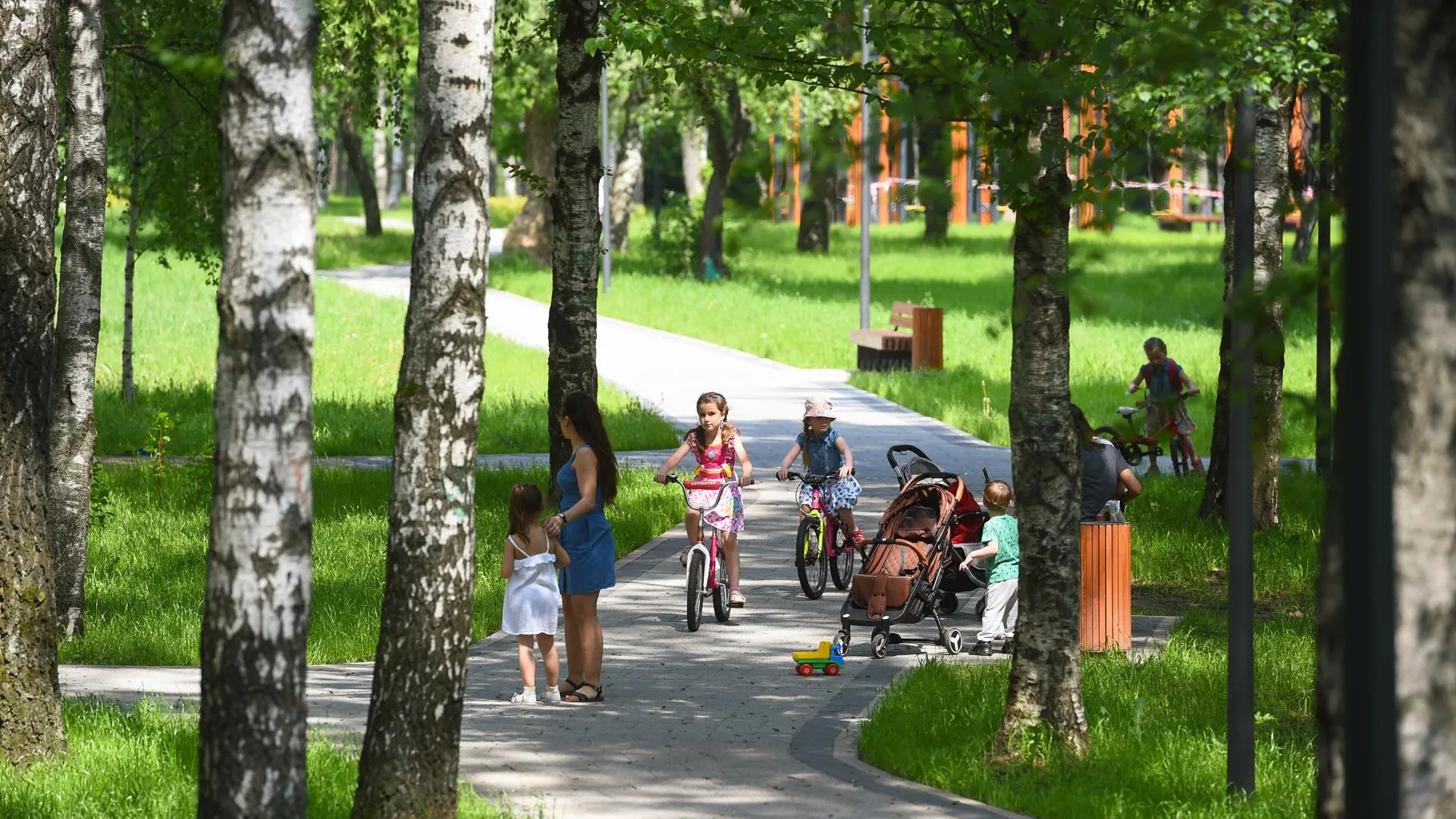 В парках Подмосковья побывали свыше 34,6 млн человек с начала года
