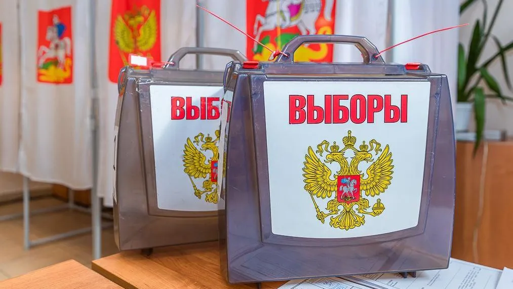 Явка на выборах в Подмосковье составила 10,03% на 15:00