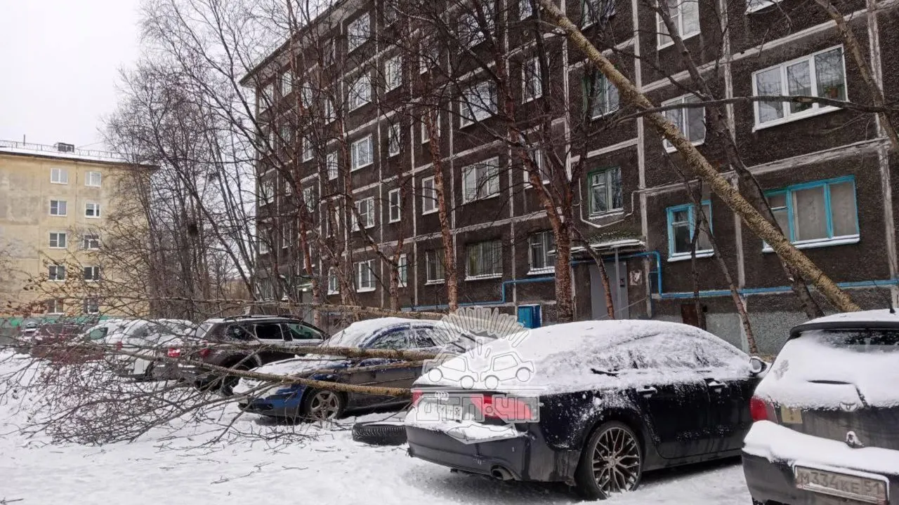 Мурманск парализовало из-за мощной метели с грозой