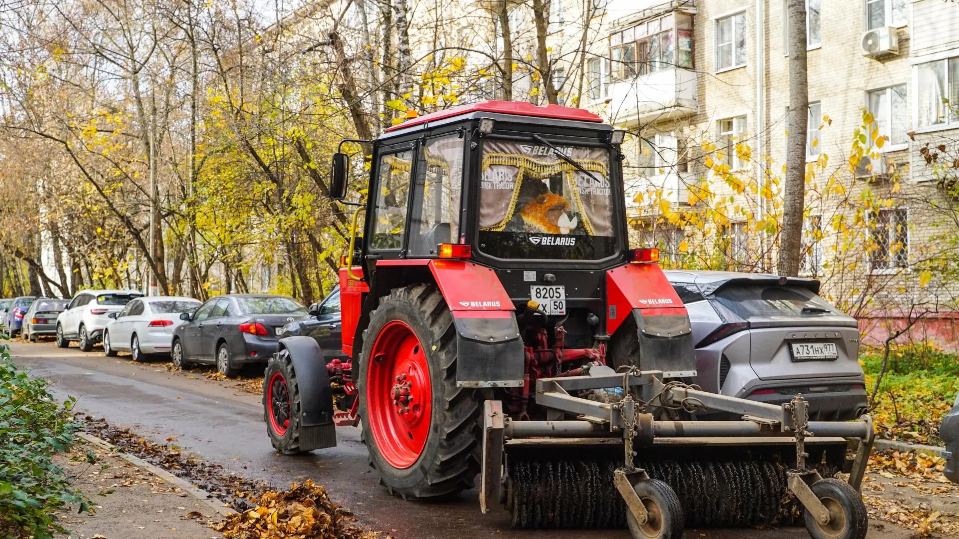 Коммунальные службы Химок усилили уборку опавшей листвы
