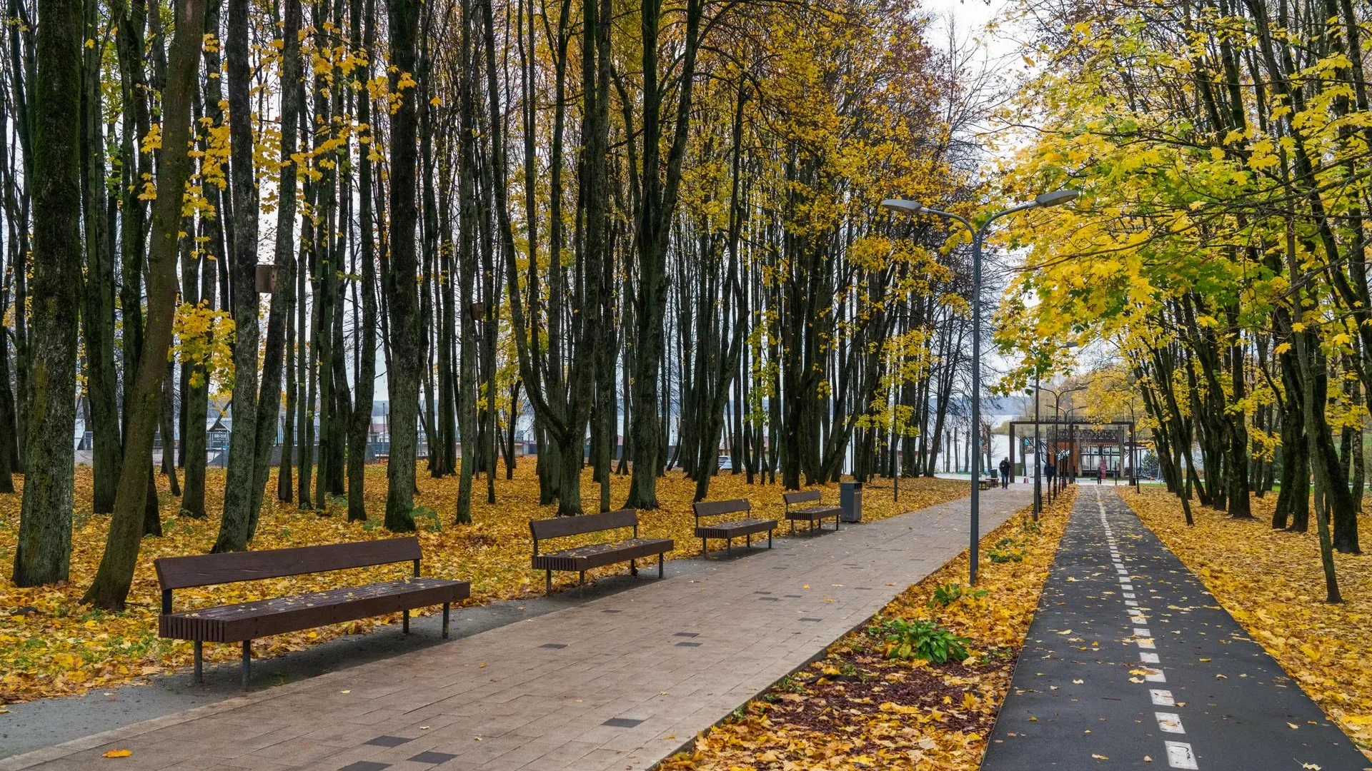 Осенние виды парка в Солнечногорске