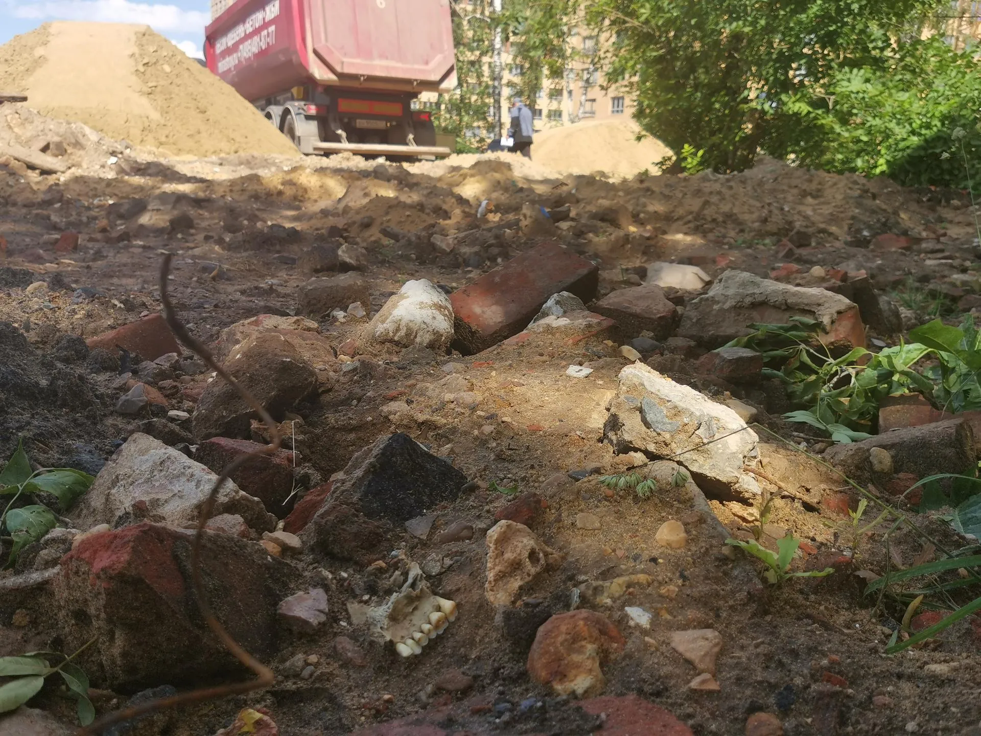Анастасия Романова