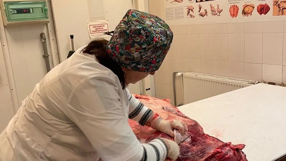 Госветслужба Подмосковья провела более 25 тыс исследований говядины