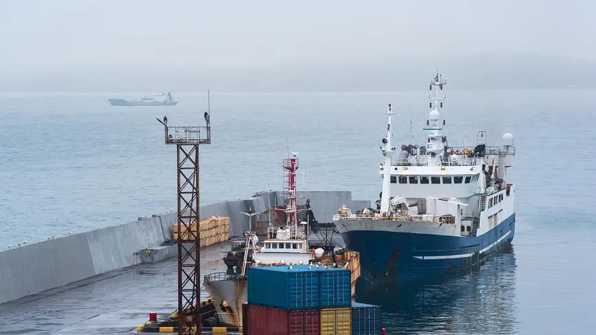 ВАРПЭ: вылов рыбы в Черном море вырос на 25%