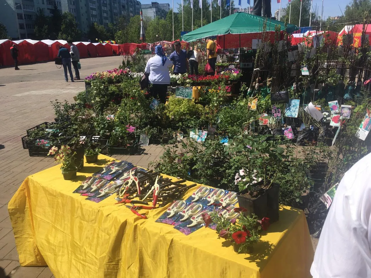 пресс-служба организаторов ярмарки