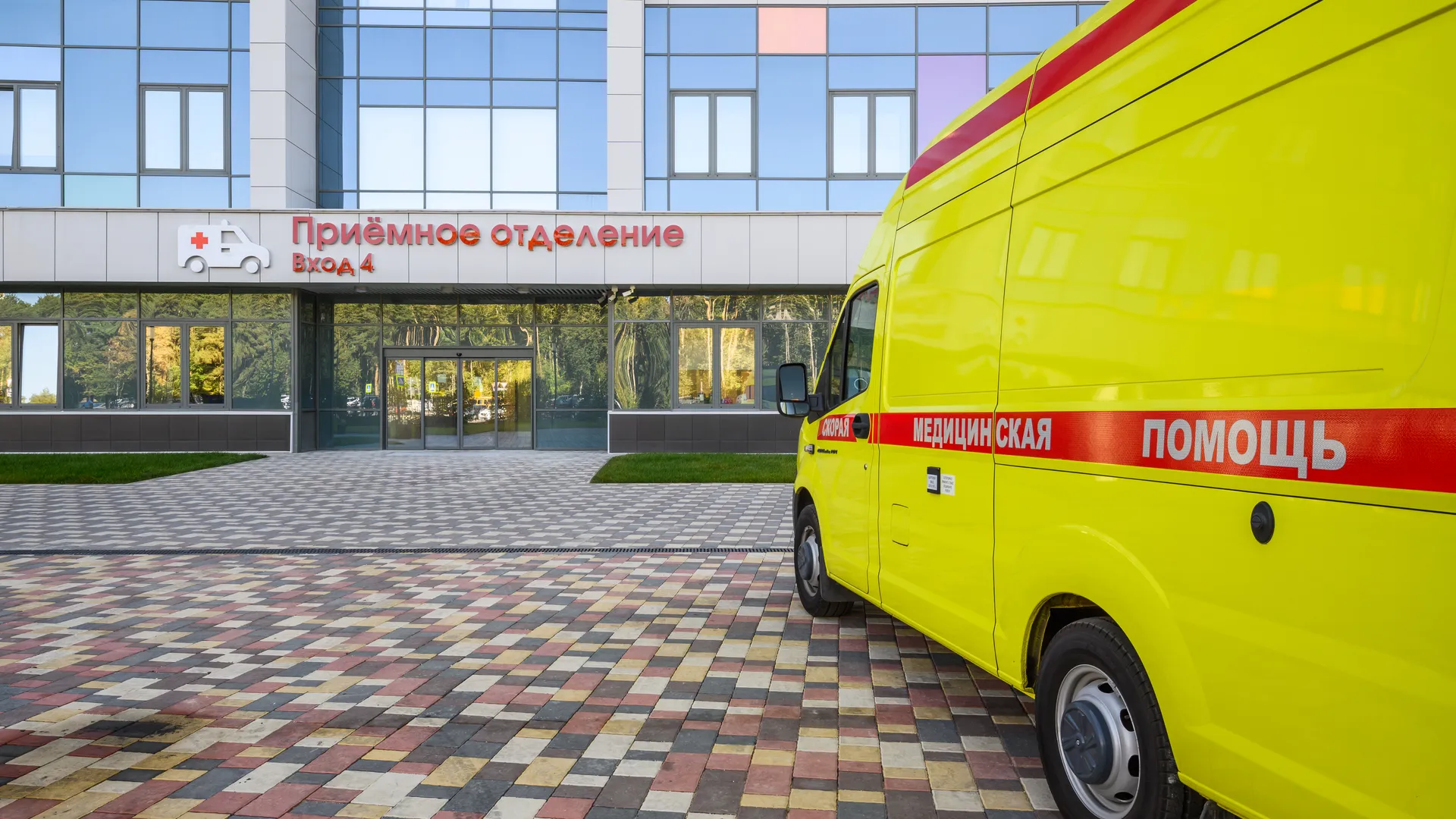 Врач из Мытищ предупредила об опасности состава «корма для квадроберов»
