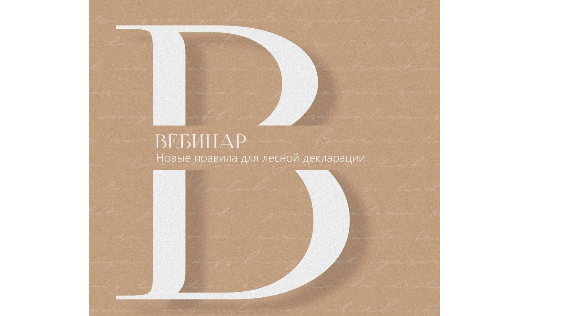 Лесопользователям Подмосковья расскажут о новом порядке оформления лесной декларации