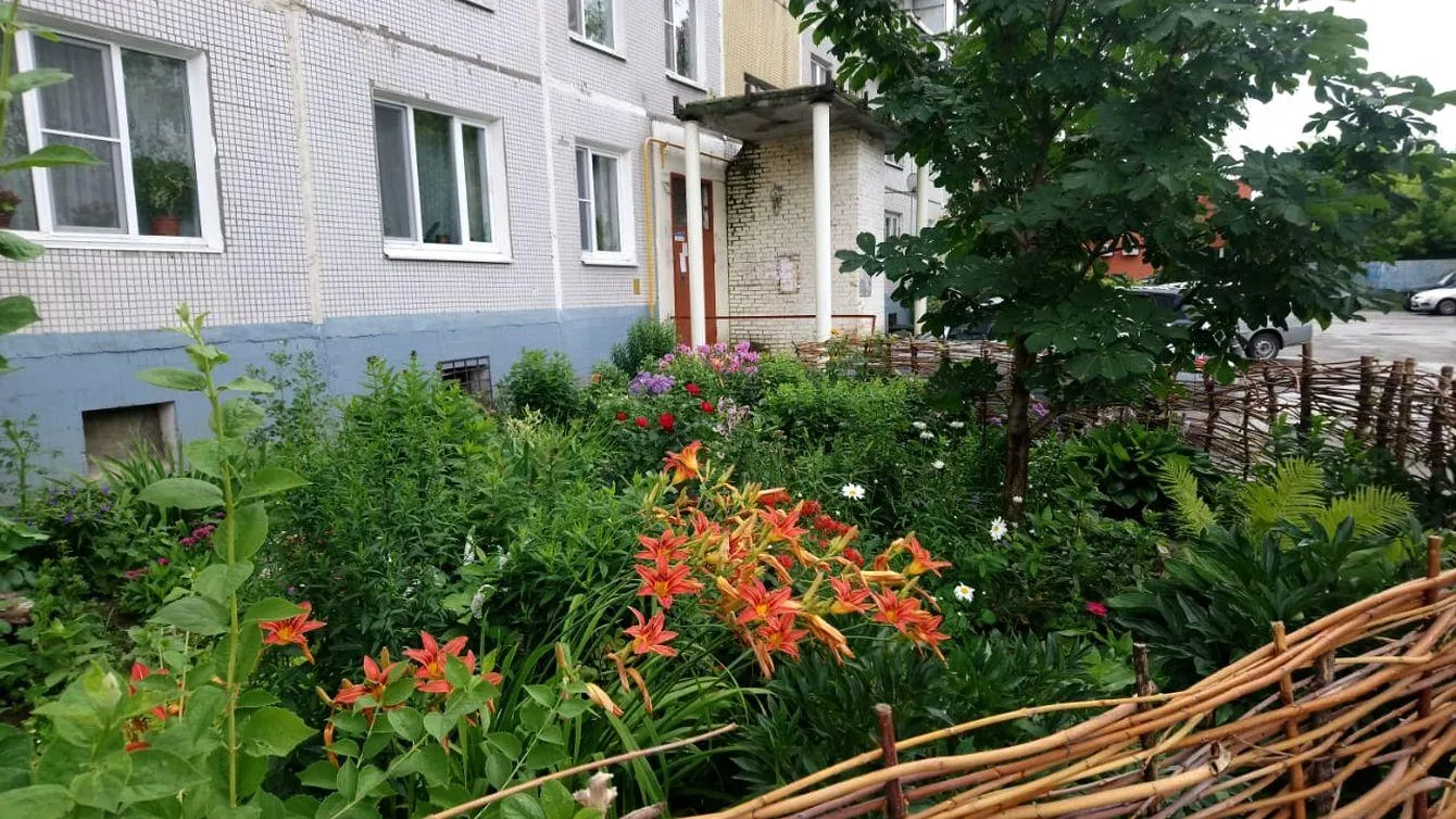 Жители Воскресенска начали присылать заявки на конкурс «Мой двор – моя гордость»