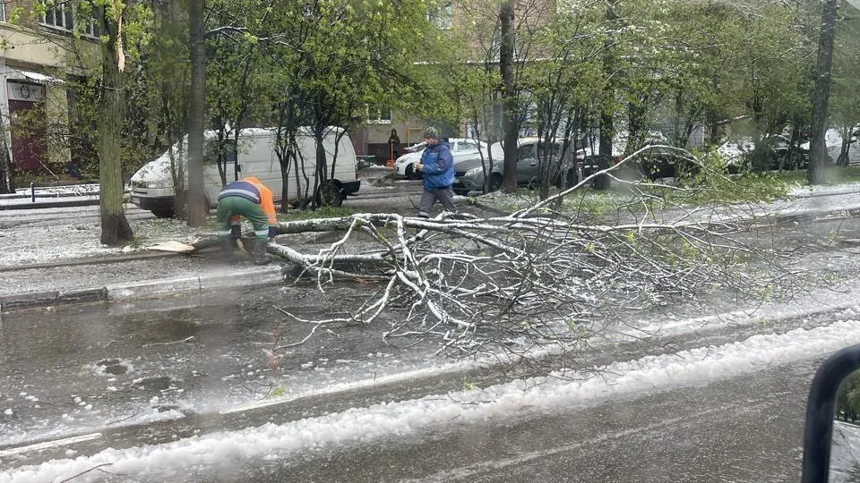 Дорожные и коммунальные службы Долгопрудного устраняют последствия снегопада