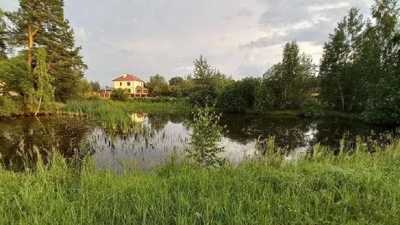 Прокуратура при поддержке Минэкологии хочет вернуть государству земли в Дмитрове