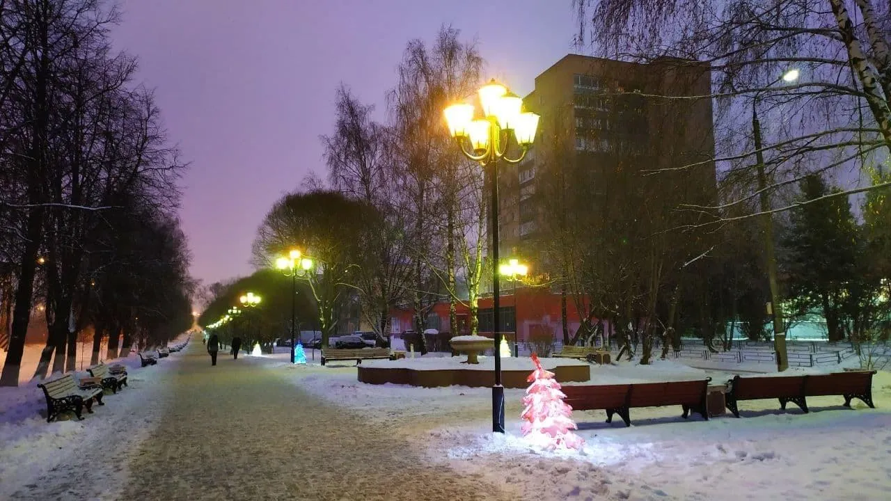 В Подольске собака‑метис ждет хозяина возле военкомата 4‑й день подряд