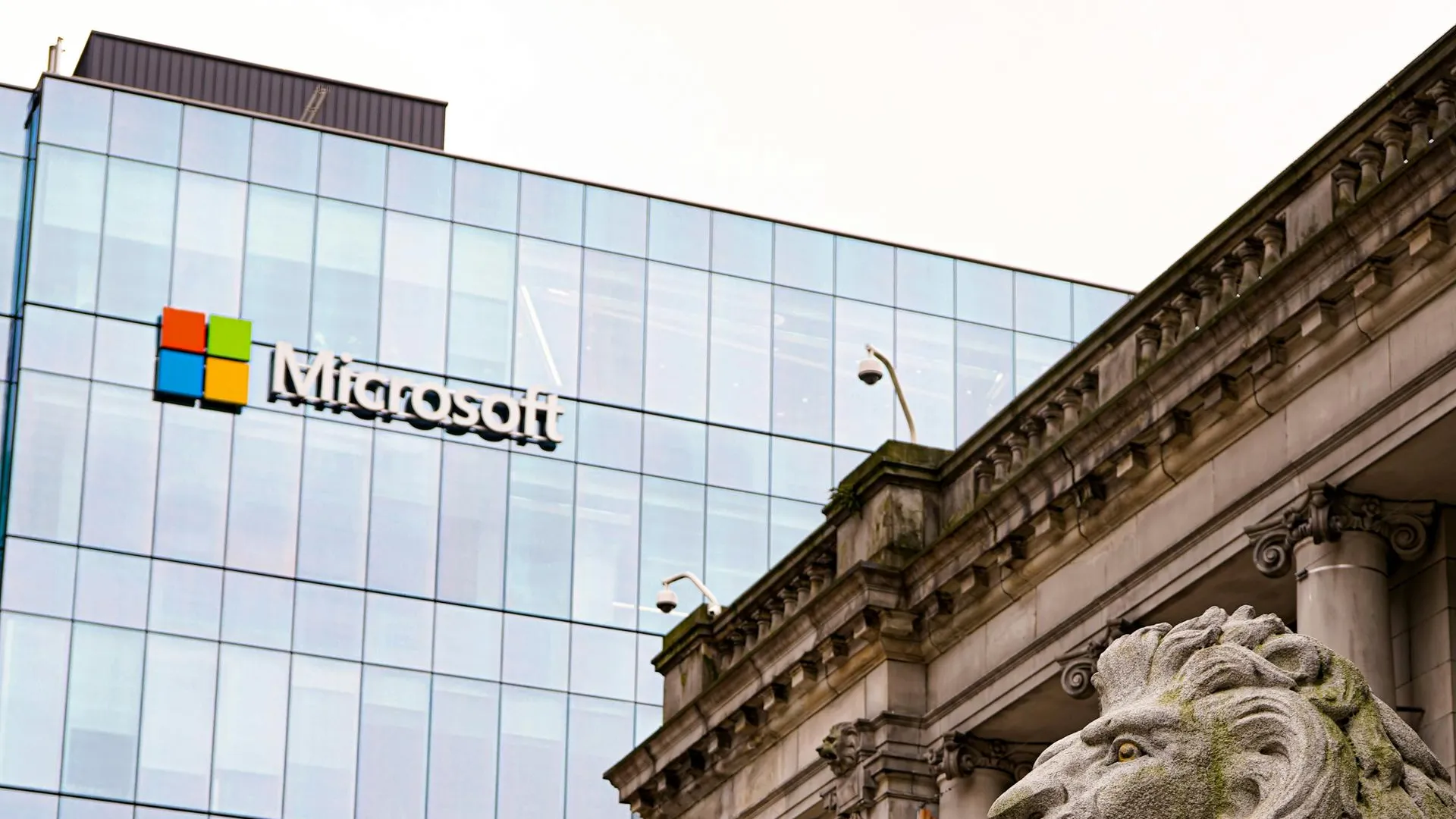 Microsoft в России подала на банкротство