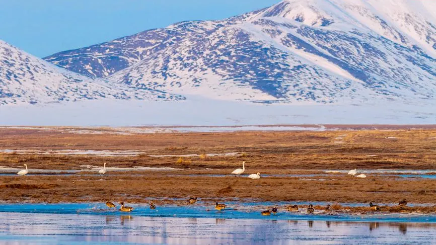 Гляциолог Чернов объяснил, как в мире меняется снег и лед