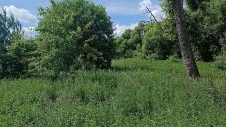 Участок на торгах в Серпухове