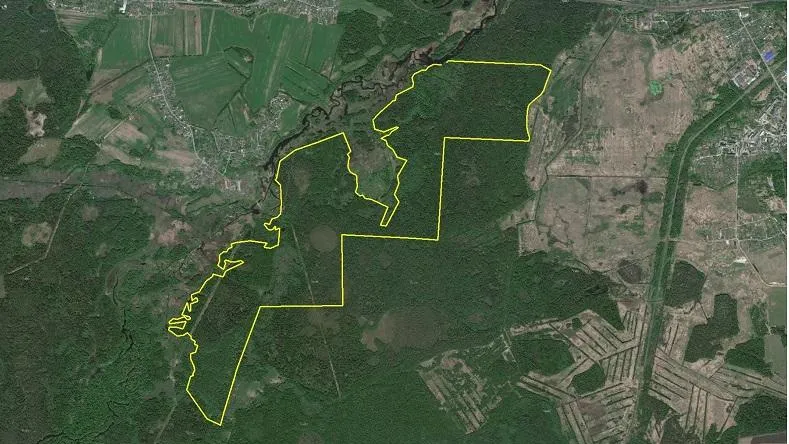 Природный заказник в Шатуре поставили на кадастровый учет