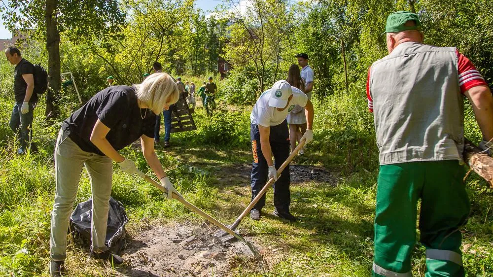 В Одинцовском округе пройдет экологическая акция «Чистый лес»