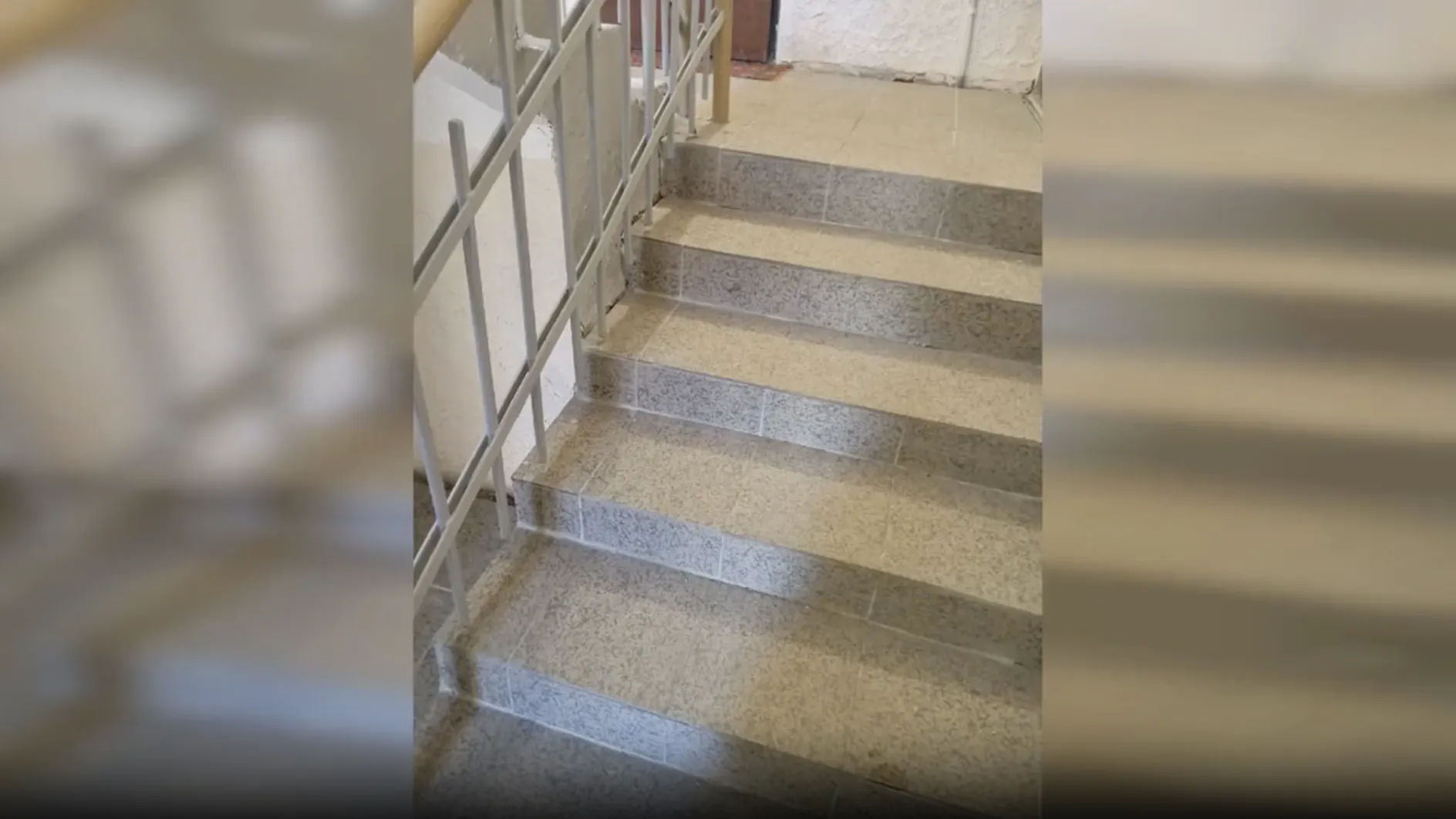 Более чем в 270 подъездах Подмосковья отремонтировали напольное покрытие в сентябре