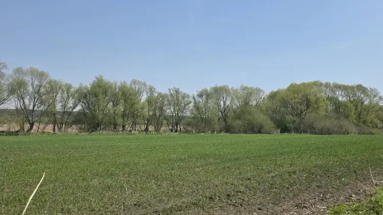 Участок на торгах в Подмосковье