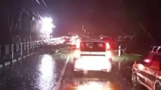 Минимум 1 человек погиб в Сочи в результате урагана