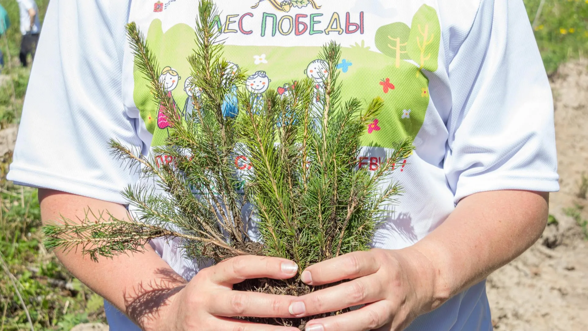 Акция «Лес Победы» стартовала в Подмосковье