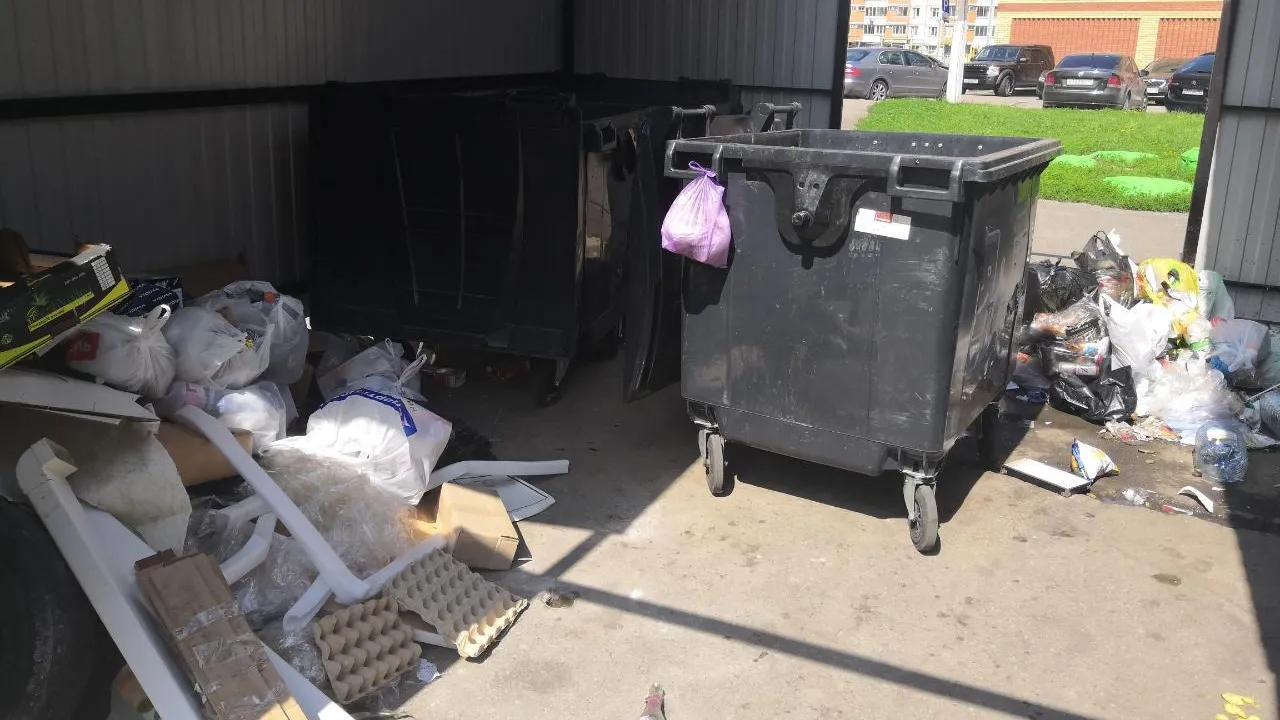 Мусор вывезли с контейнерной площадки в микрорайоне 1 мая Балашихи после жалобы жительницы