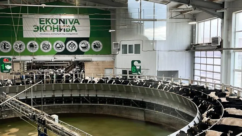 Студенты Тимирязевской академии изучили цикл производства молока в подмосковной ферме