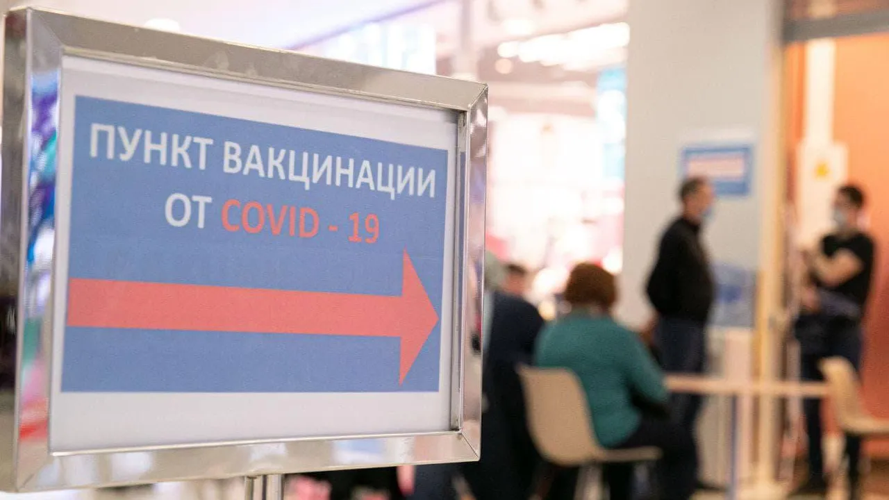 В Подмосковье закупили лекарства и средства защиты для борьбы с «омикроном»