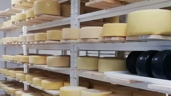 Систему контроля за безопасностью продуктов активно внедряют на предприятиях Подмосковья
