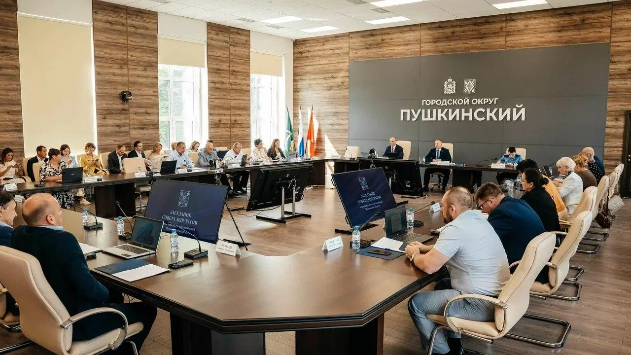 Депутаты Пушкинского обновили бюджет и правила благоустройства