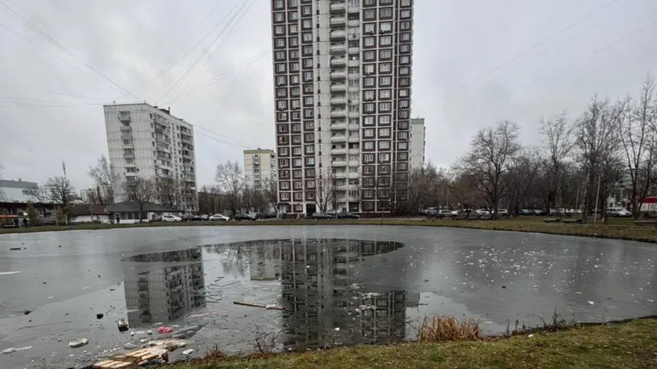 Двое мужчин провалились под лед на Кошачьем пруду в Москве, один погиб