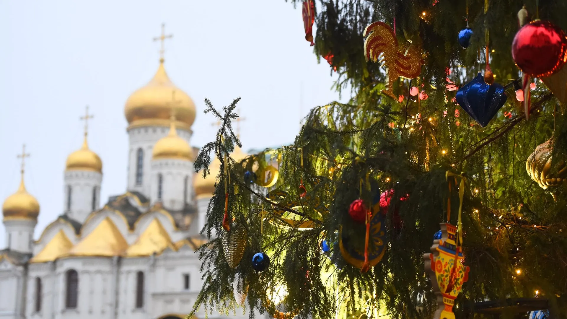 Самым экологически ответственным главам в Подмосковье подарят клюшки из кремлевской елки