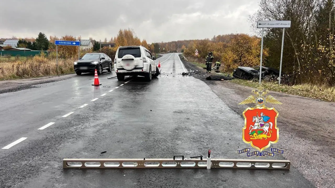 Водитель погиб в ДТП с выездом на встречную полосу в Чехове