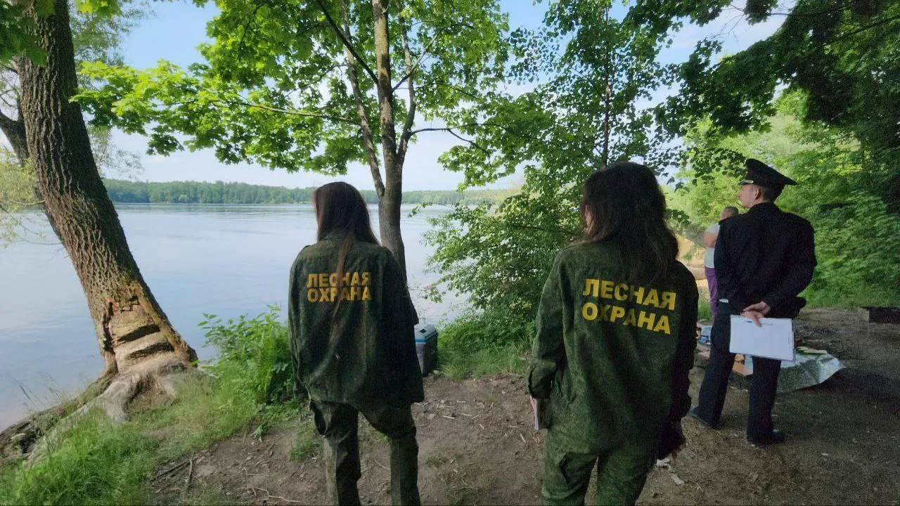 Свыше 1,1 тыс патрулирований провела лесная охрана Подмосковья в выходные