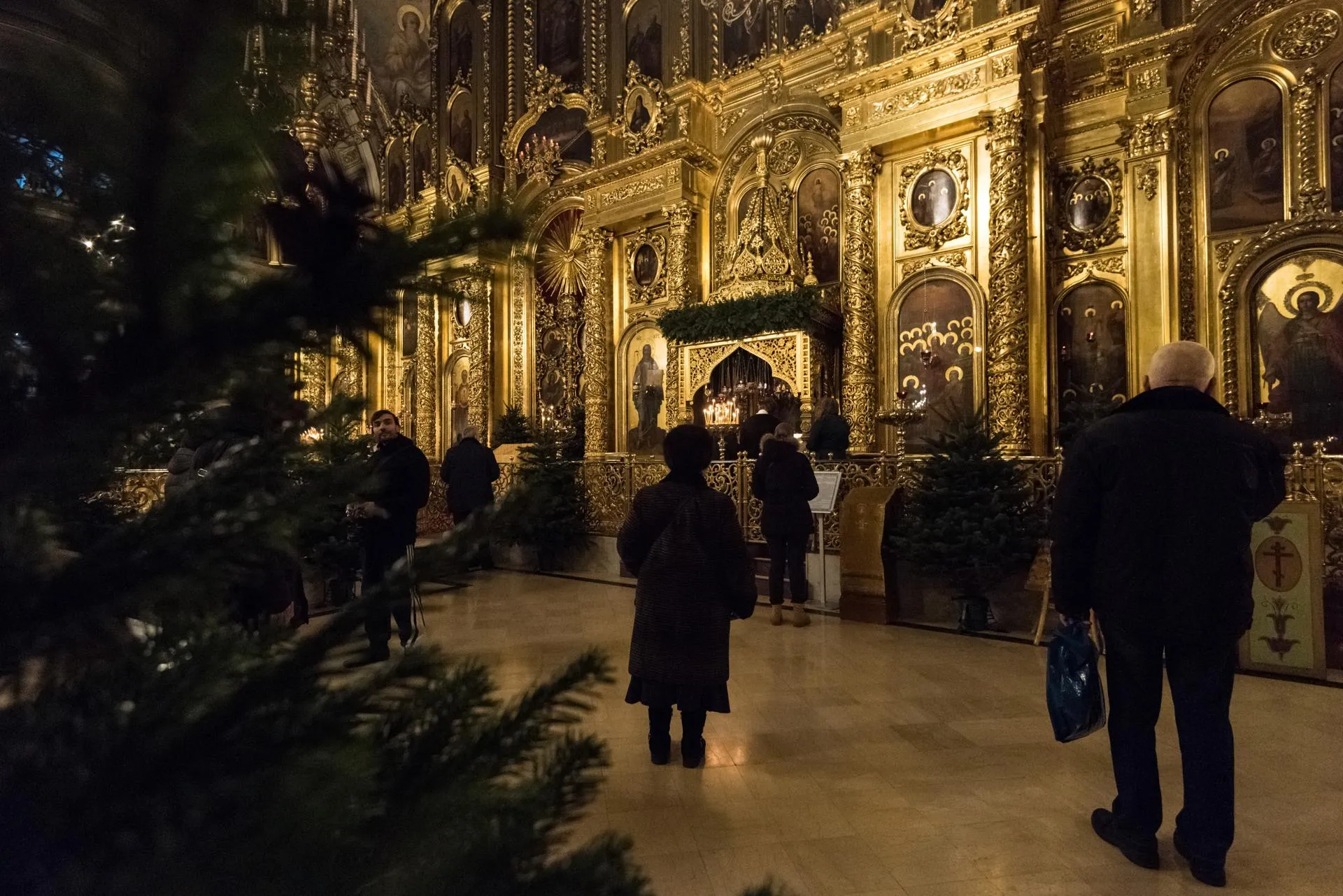 Пелагия Тихонова